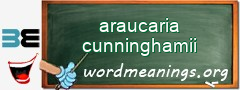 WordMeaning blackboard for araucaria cunninghamii
